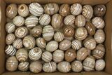 Lot: to Banded Aragonite Eggs - Pieces #138172-1